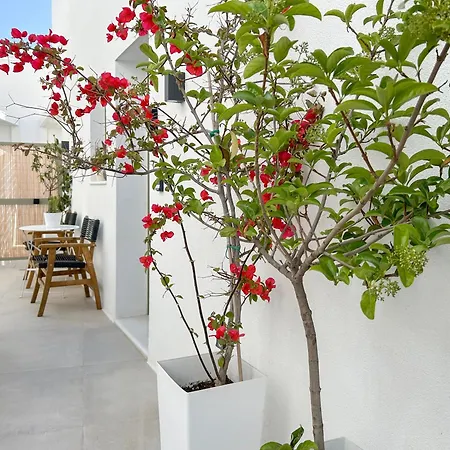 Joelia In Paros With Private Jacuzzi! Naousa (Paros)