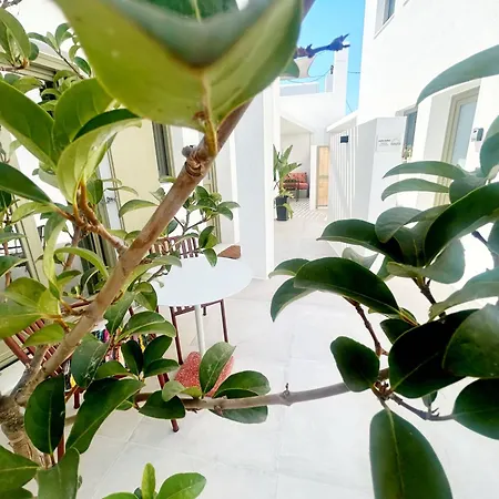 Joelia In Paros With Private Jacuzzi! Holiday home *