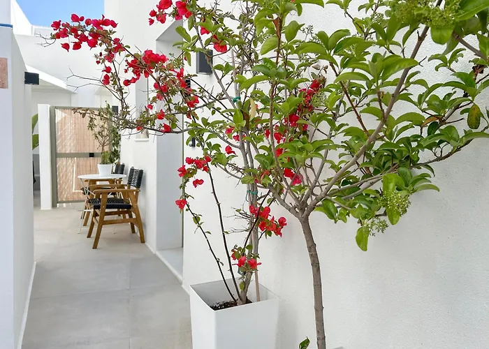 Joelia In Paros With Private Jacuzzi! Naousa (Paros)